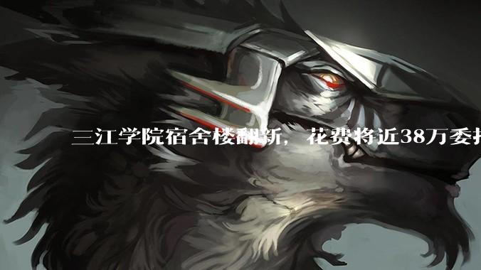 三江学院宿舍楼翻新，花费将近38万委托公司搬运行李，结果只有一个阿姨挑着扁担搬运行李，如何评价？
