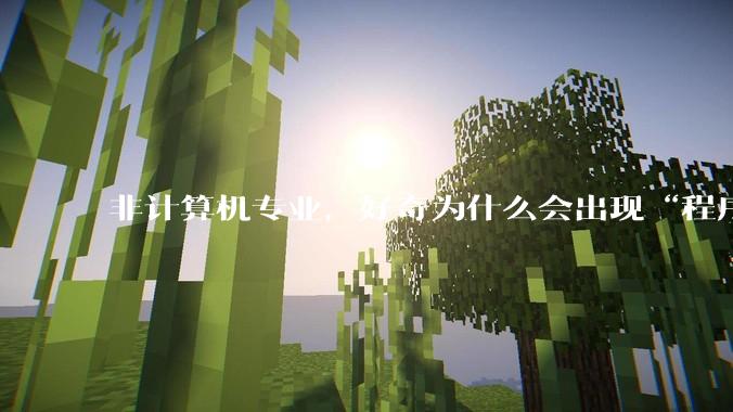 非计算机专业，好奇为什么会出现“程序依赖bug运行”的情况？