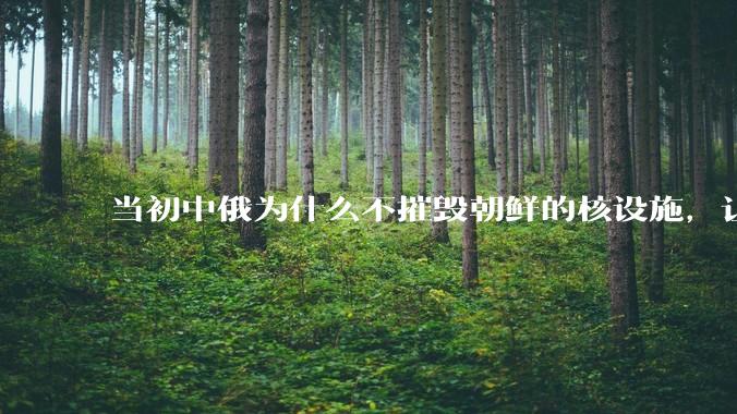 当初中俄为什么不摧毁朝鲜的核设施，让朝鲜拥有了自己的核武器？
