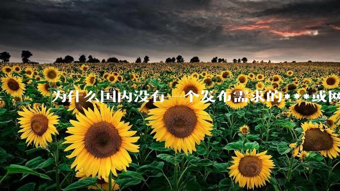为什么国内没有一个发布需求的***或网站呢？